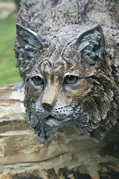UC Merced Bobcat Sculpture